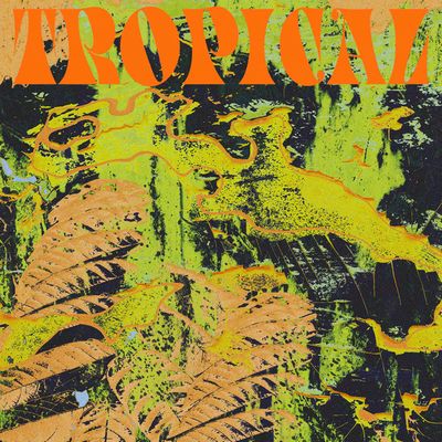 Cv Vision - Tropical : LP