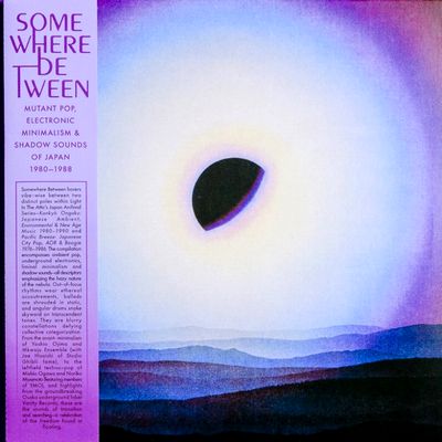Various - Somewhere Between : Mutant Pop, Electronic Minimalism & Shadow Sounds Of Japan 1980-1988 : 2LP