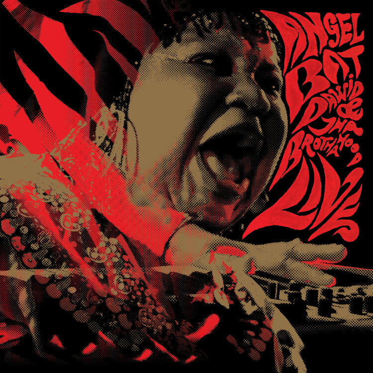 Angel Bat Dawid & Tha Brothahood - Live : 2LP