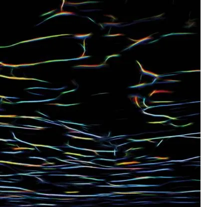 Porter Ricks - Biokinetics : 2LP