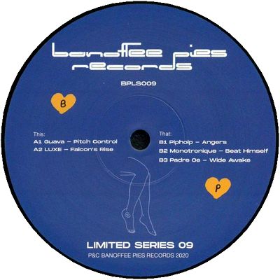 Various - Limited Series 09 : 12inch
