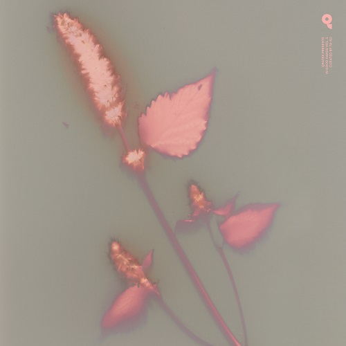 Various - In Good Hands vol.1