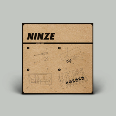 Ninze - Lost in Light | NEWTONE RECORDS