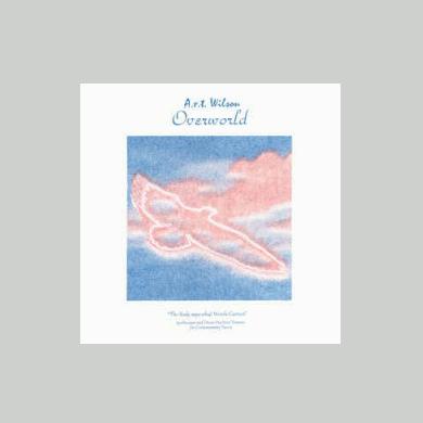A.R.T. Wilson - Overworld | NEWTONE RECORDS