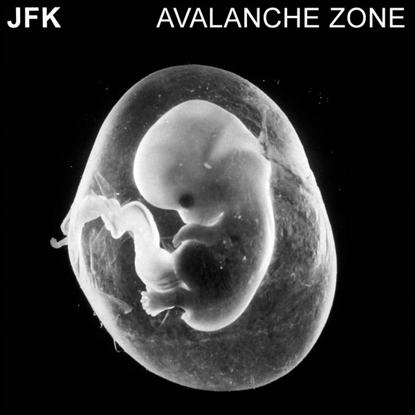 Jfk - Avalanche Zone : LP