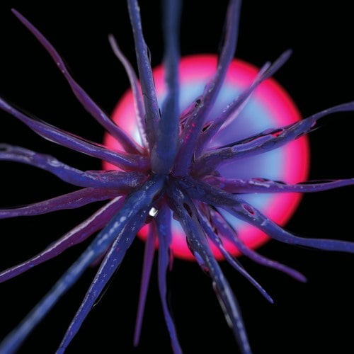 Agonis - Neutropia