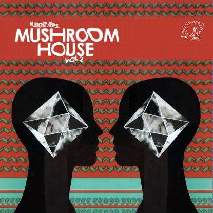 V/A - Kapote Pres Mushroom House Vol 2 : 2LP