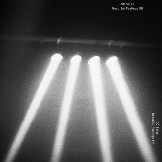 Dc Salas - The Beautiful Feelings EP