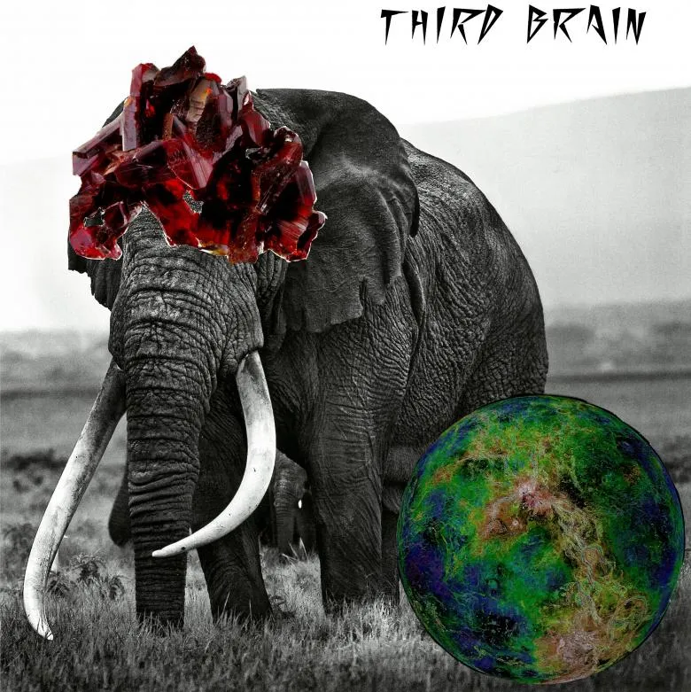 Third Brain - 「Ushan - Lite Tek」 EP : 7 inch
