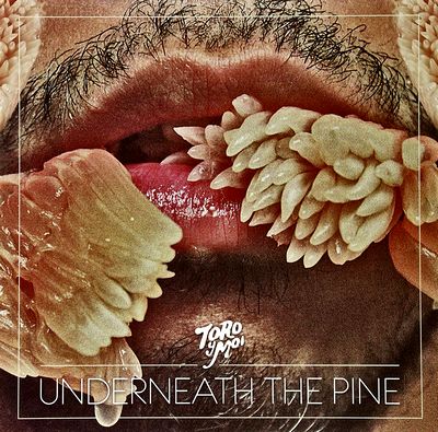 Toro Y Moi - Underneath The Pine : LP