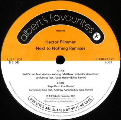 Hector Plimmer - Next To Nothing Remixes : 12inch