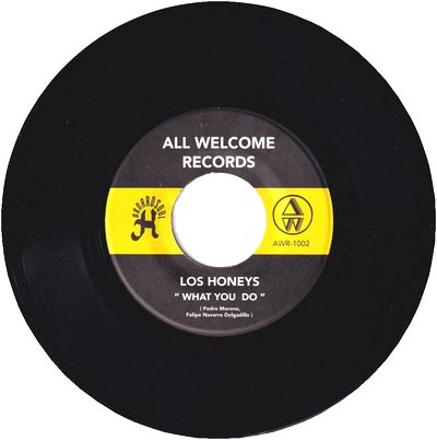 Los Honeys - Do To Me / What You Do : 7inch