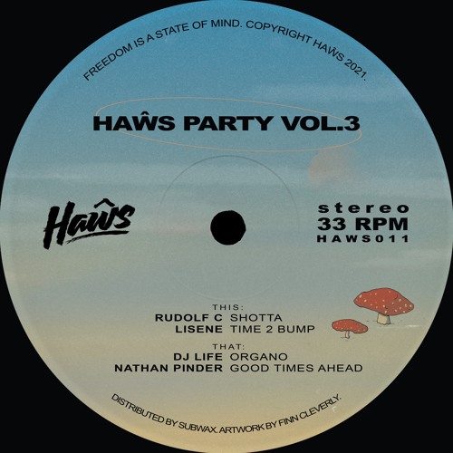 Various - HAŴS PARTY VOL. 3 : 12inch