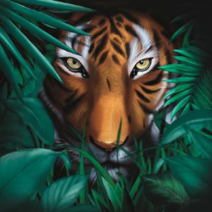A Vision Of Panorama - Unique Tiger : LP