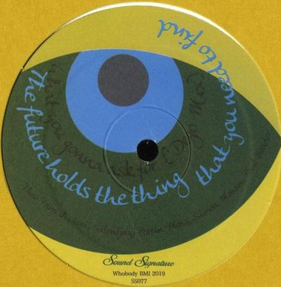 Theo Parrish, Lori Riegler-Namvar, Silentjay, Simon Mavin, Perrin Moss, Paul Bender - What You Wanna Ask For : 12inch