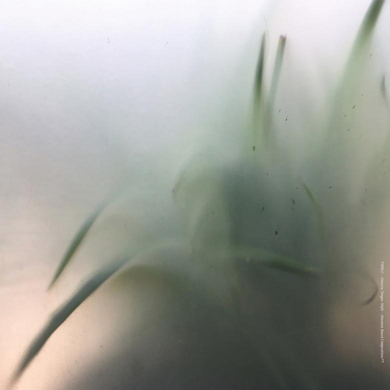 Tibslc - Delusive Tongue Shifts - Situation Based Compositions