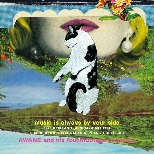 Awane And His Foundfootage Orchestra - music is always by your side / something about us (the LEWD HERTZ live dub) : 7inch