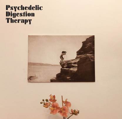 Psychedelic Digestion Therapy - Psychedelic Digestion Therapy : LP