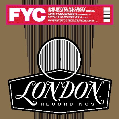 Fine Young Cannibals - She Drives Me Crazy (Derrick Carter/Seth