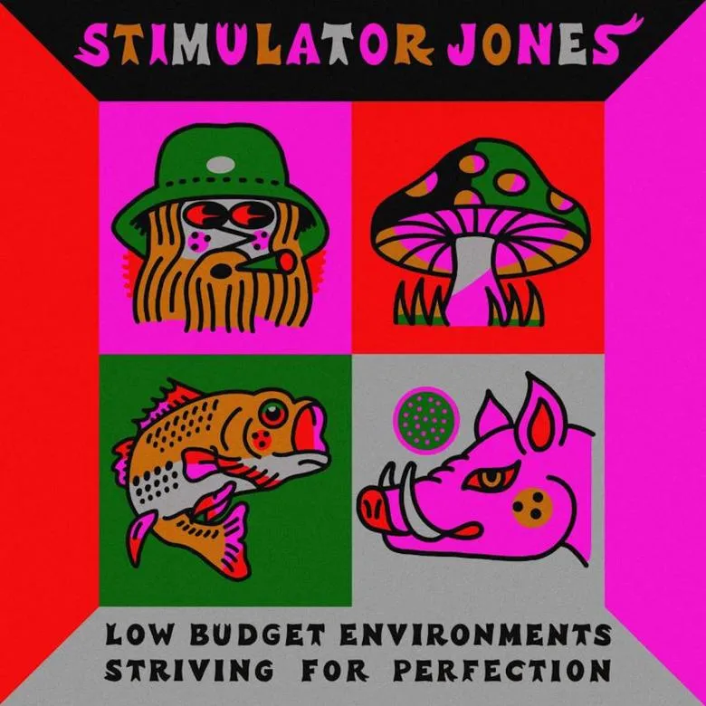 Stimulator Jones - Low Budget Environments Striving for Perfection : LP