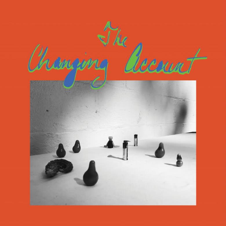 G.S. Schray - The Changing Account : LP
