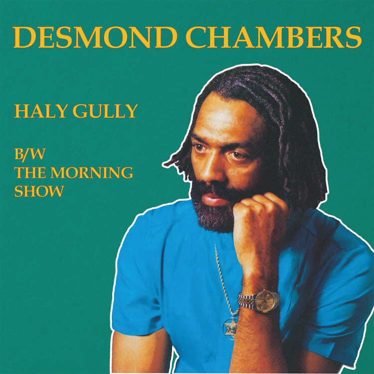 Desmond Chambers - Haly Gully / The Morning Show : 12inch