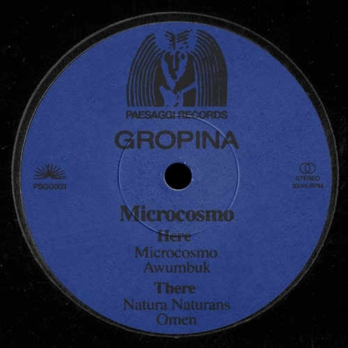 Gropina - Microcosmo : 12inch