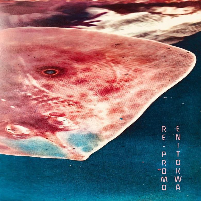 Enitokwa - Re Promo
