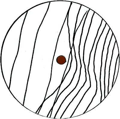 Lo Shea - Adverse Chamber EP