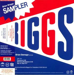 Brian Briggs - Special Sampler (Selected Music From The Album Brian Damage) : 12inch