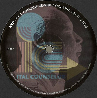Jah Warrior / Rsd - Not Enough