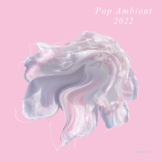 Various - Pop Ambient 2022 : LP+DL