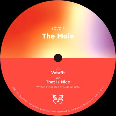 The Mole - That Is Nice : 12inch