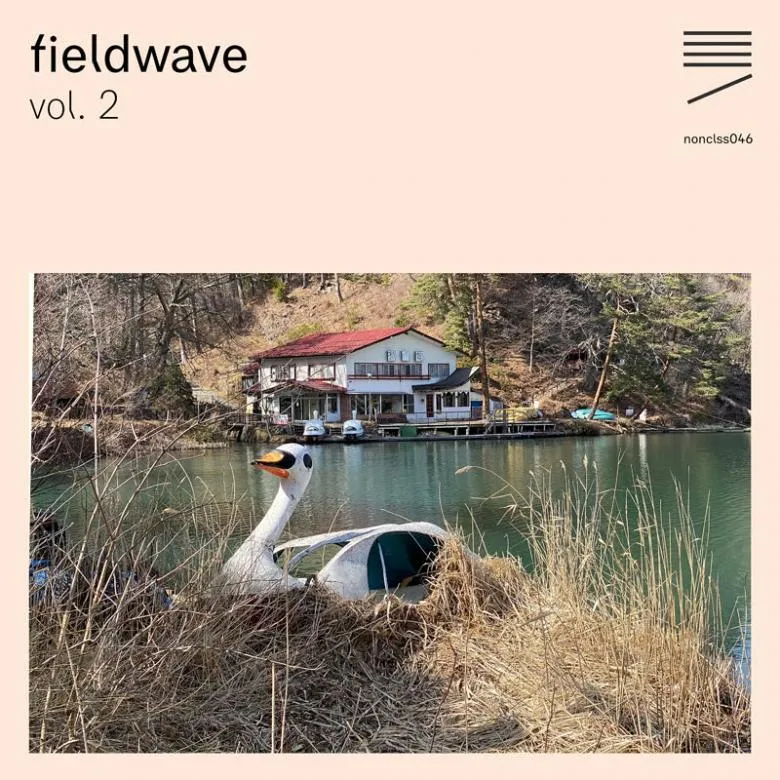 Various - Fieldwave Vol. 2 : Cassette