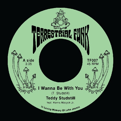 Teddy Studstill - I Wanna Be With You : 7inch