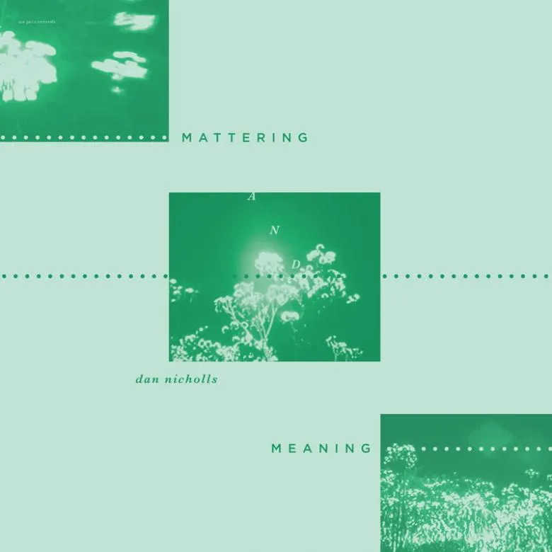 Dan Nicholls - Mattering and Meaning : LP