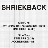 Shriekback - My Spine Is The Bassline