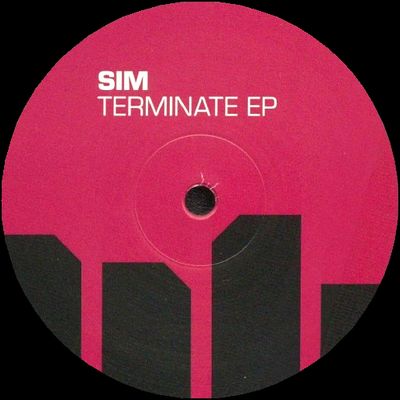 Sim - Terminate EP : 12inch