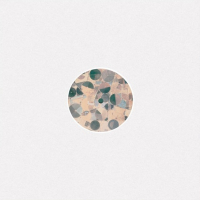 Forest Drive West - Recursion EP