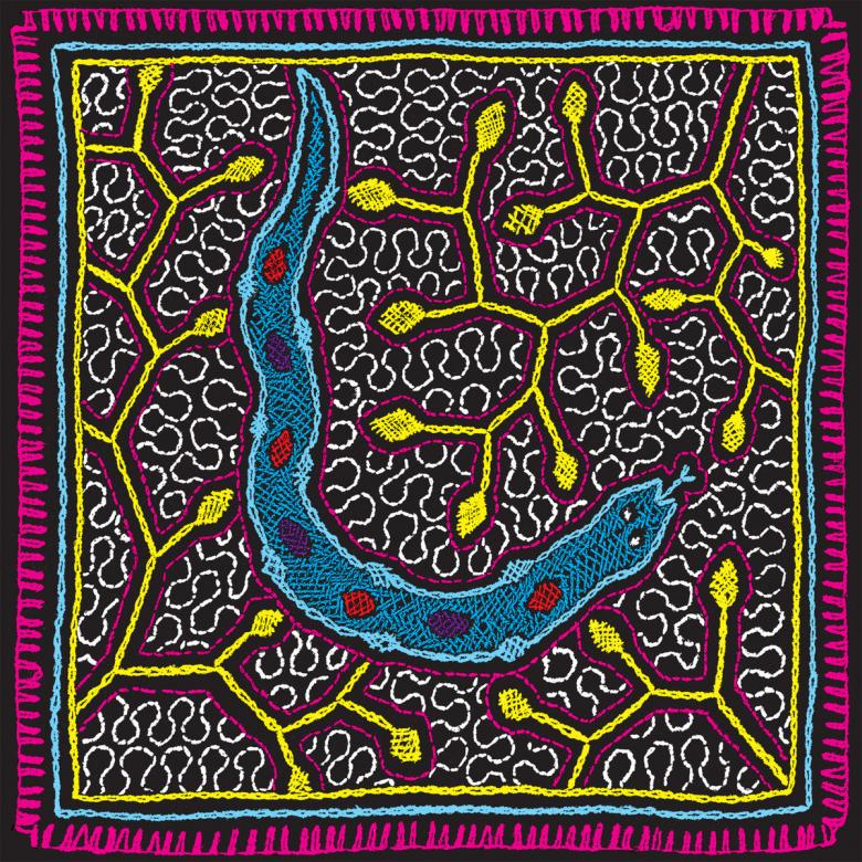 Grupo La Droga - Grupo La Droga : 7 inch X 4