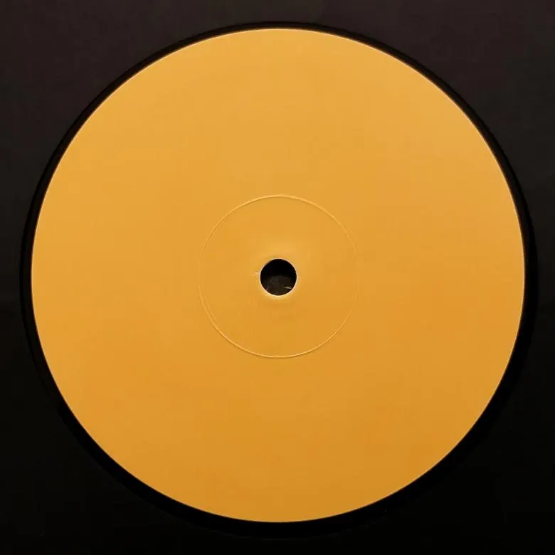 Various Artists - NDVAX02 : 12inch.