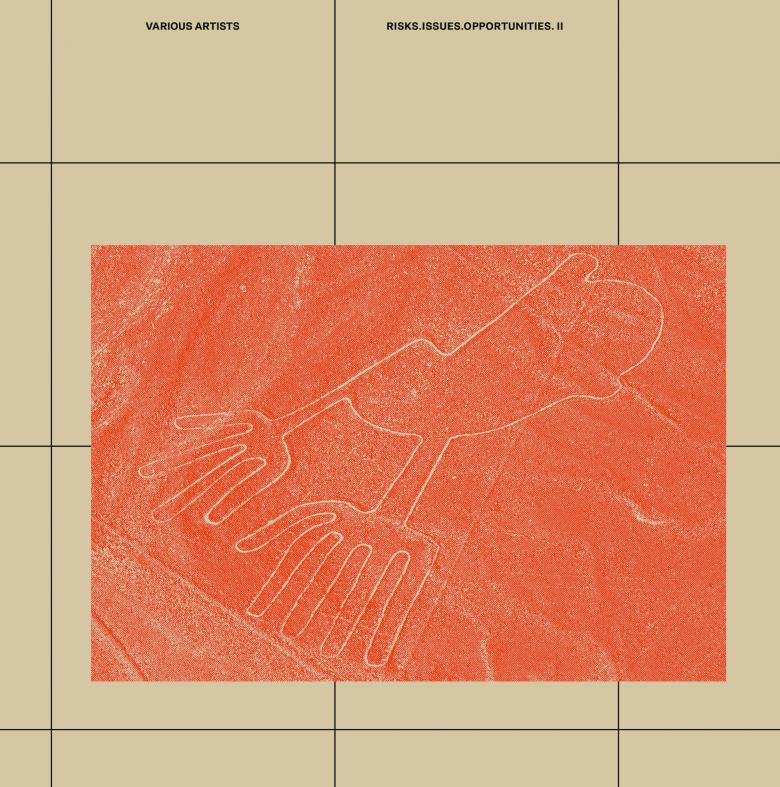 Various Artists - Risks Issues Opportunities 2 : LP