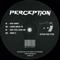 DJ Perception - BLUFF007