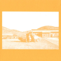 The Frenzied Bricks - (Can I) Bridge The Gap/Entropy