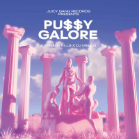 DJ Mell G / Karnage Kills - PU​$​$​Y GALORE