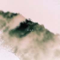 D.A.N. - No Moon