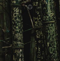 A Mountain Of One - Black Apple Pink Apple (Incl. Ricardo Villalobos Remix) (Transparent Green Vinyl)