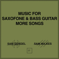 Sam Gendel & Sam Wilkes - Music For Saxofone And Bass Guitar More Songs