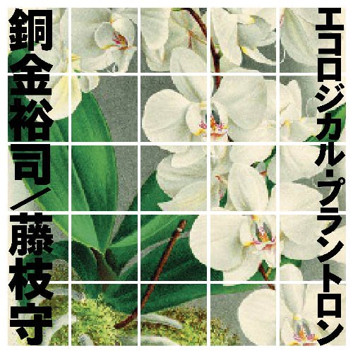 銅金裕司／藤枝守 - エコロジカル・プラントロン : 2CD