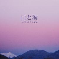 Artist: Little Tempo : Newtone Records